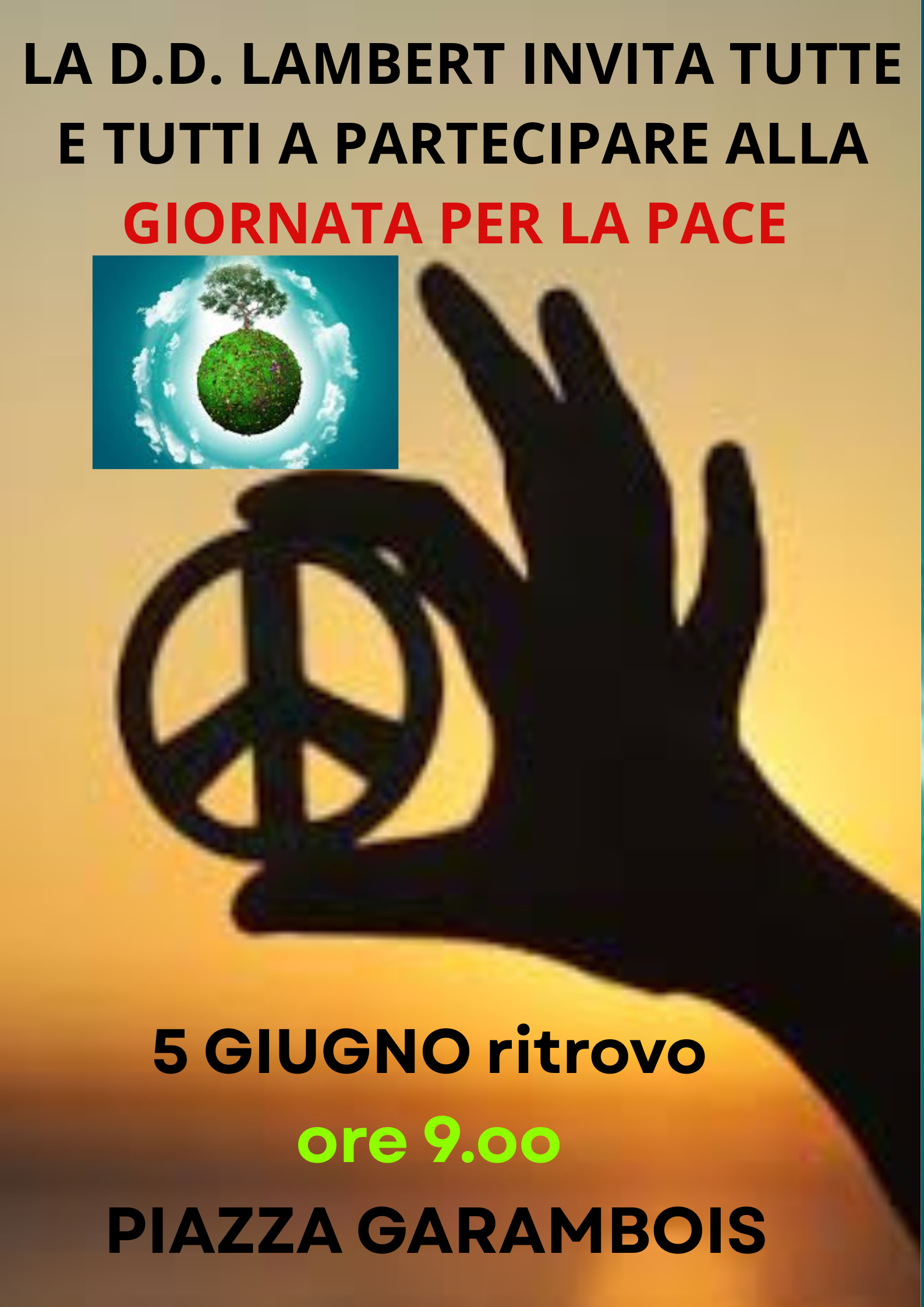 Immagini album